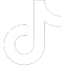 Tiktok Detroit Speed Dating